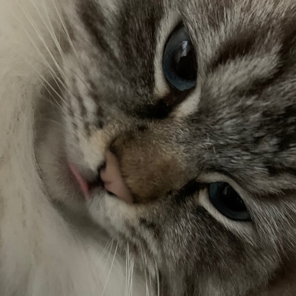 Meet your Posher, Jennifer - Picture 1 of 1